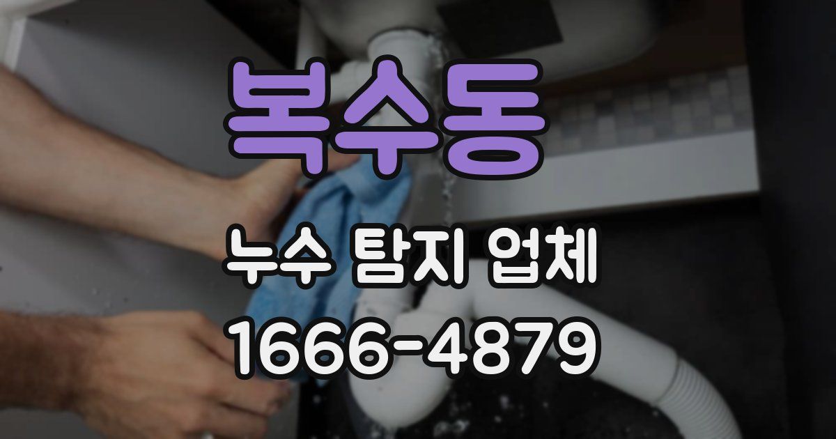 복수동 누수 탐지 업체