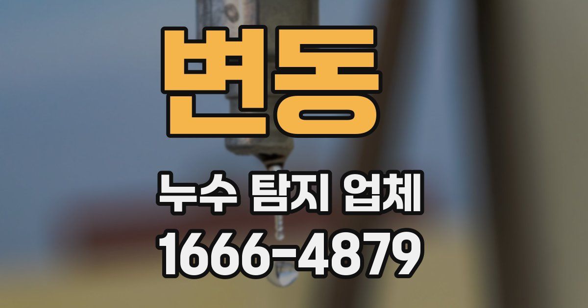 변동 누수 탐지 업체