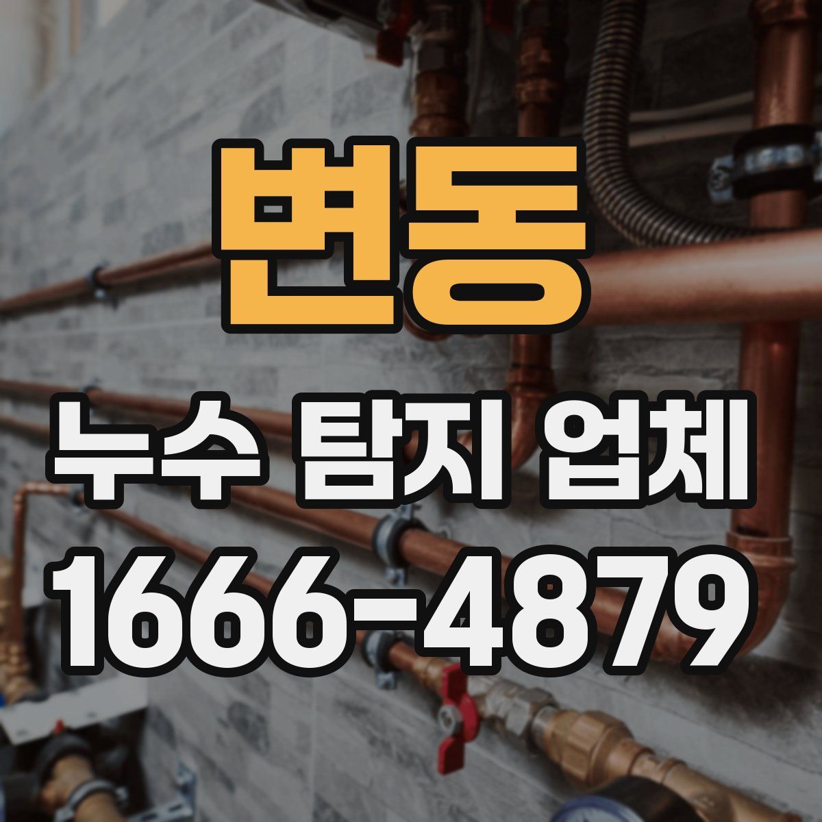 변동 누수 탐지 업체