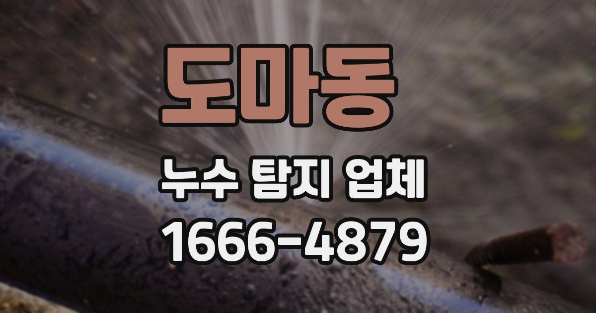 도마동 누수 탐지 업체