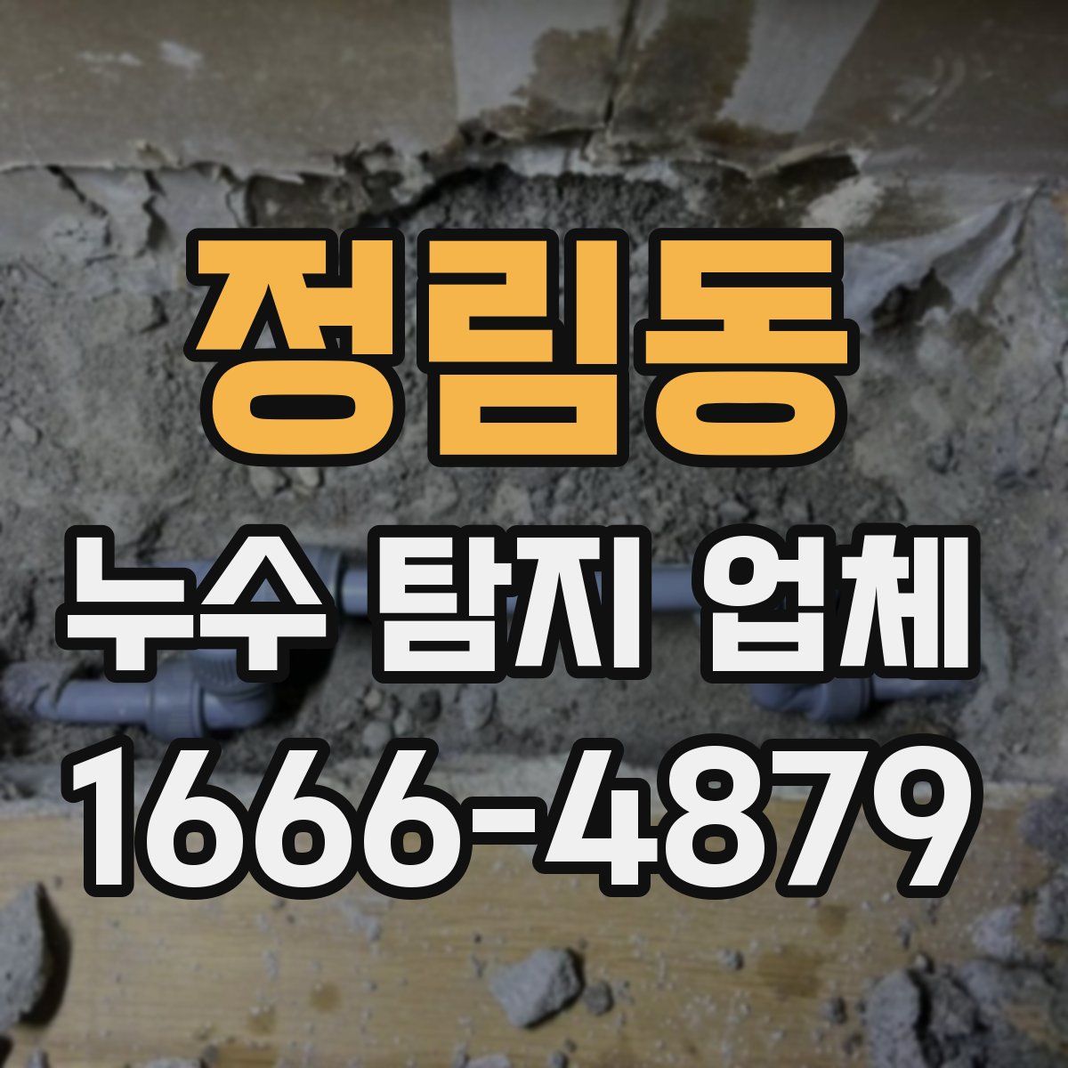 정림동 누수 탐지 업체