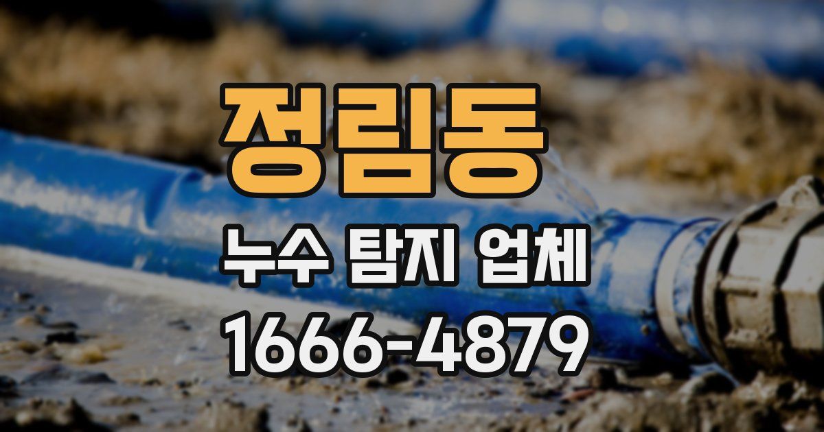 정림동 누수 탐지 업체