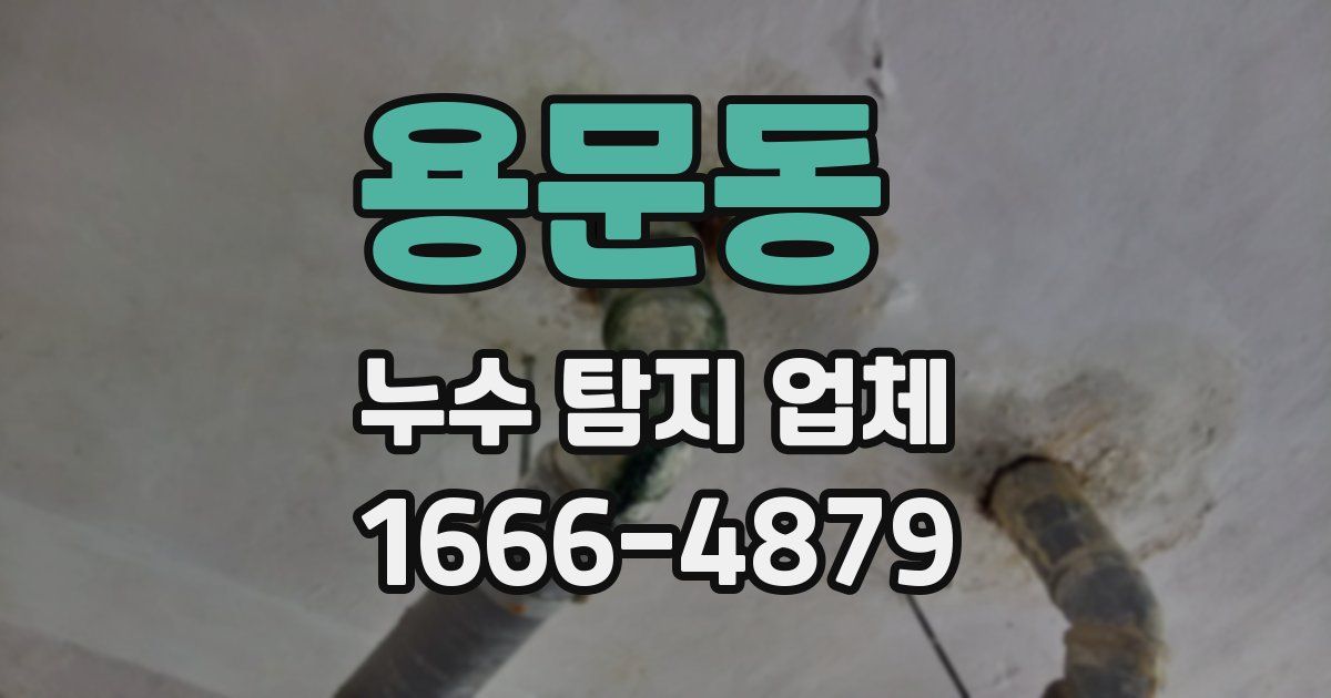 용문동 누수 탐지 업체