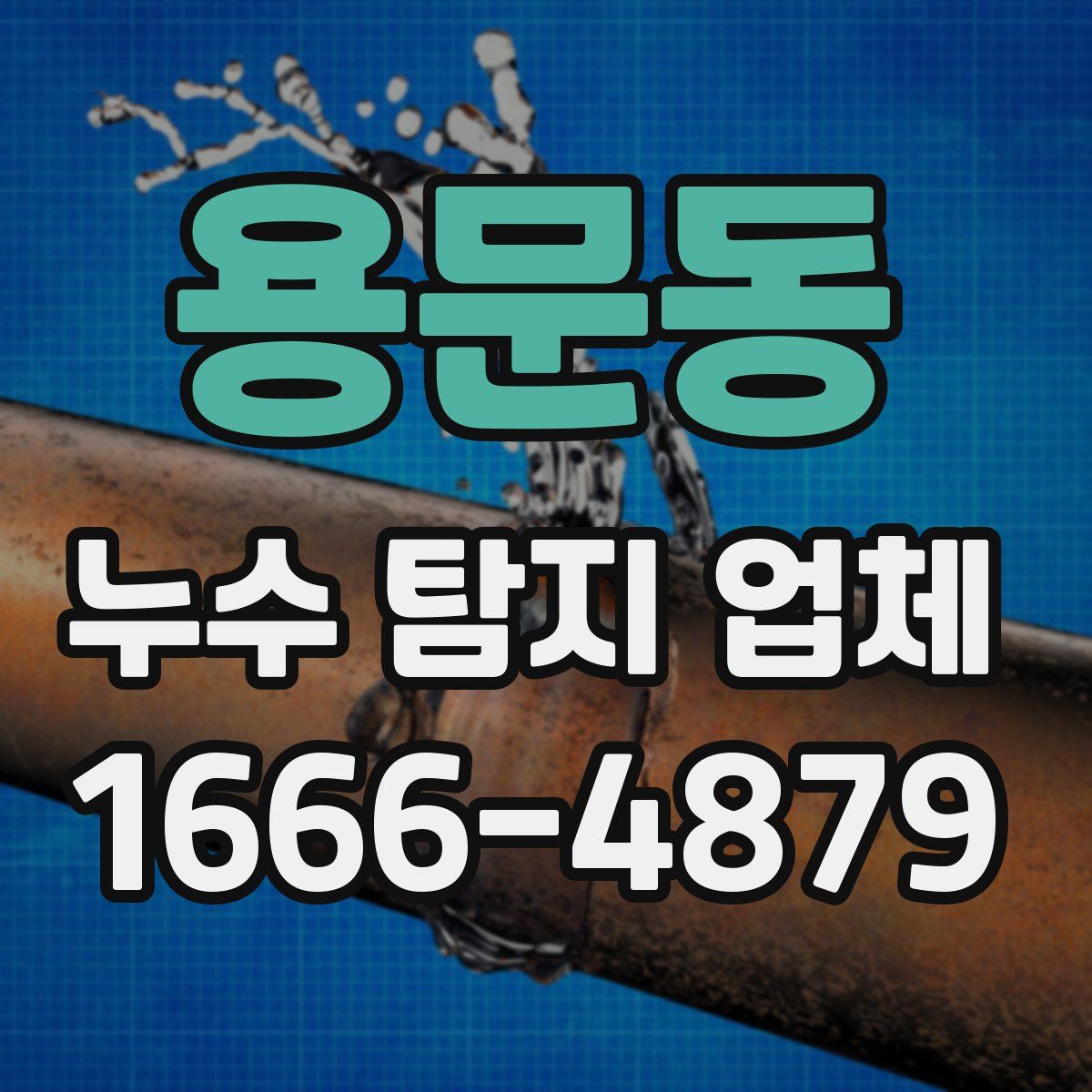 용문동 누수 탐지 업체