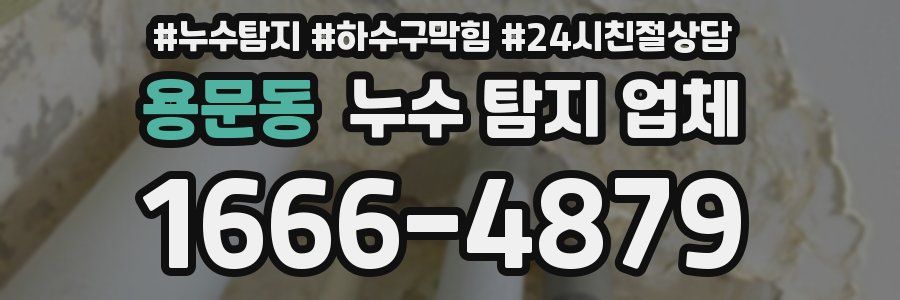 용문동 누수 탐지 업체
