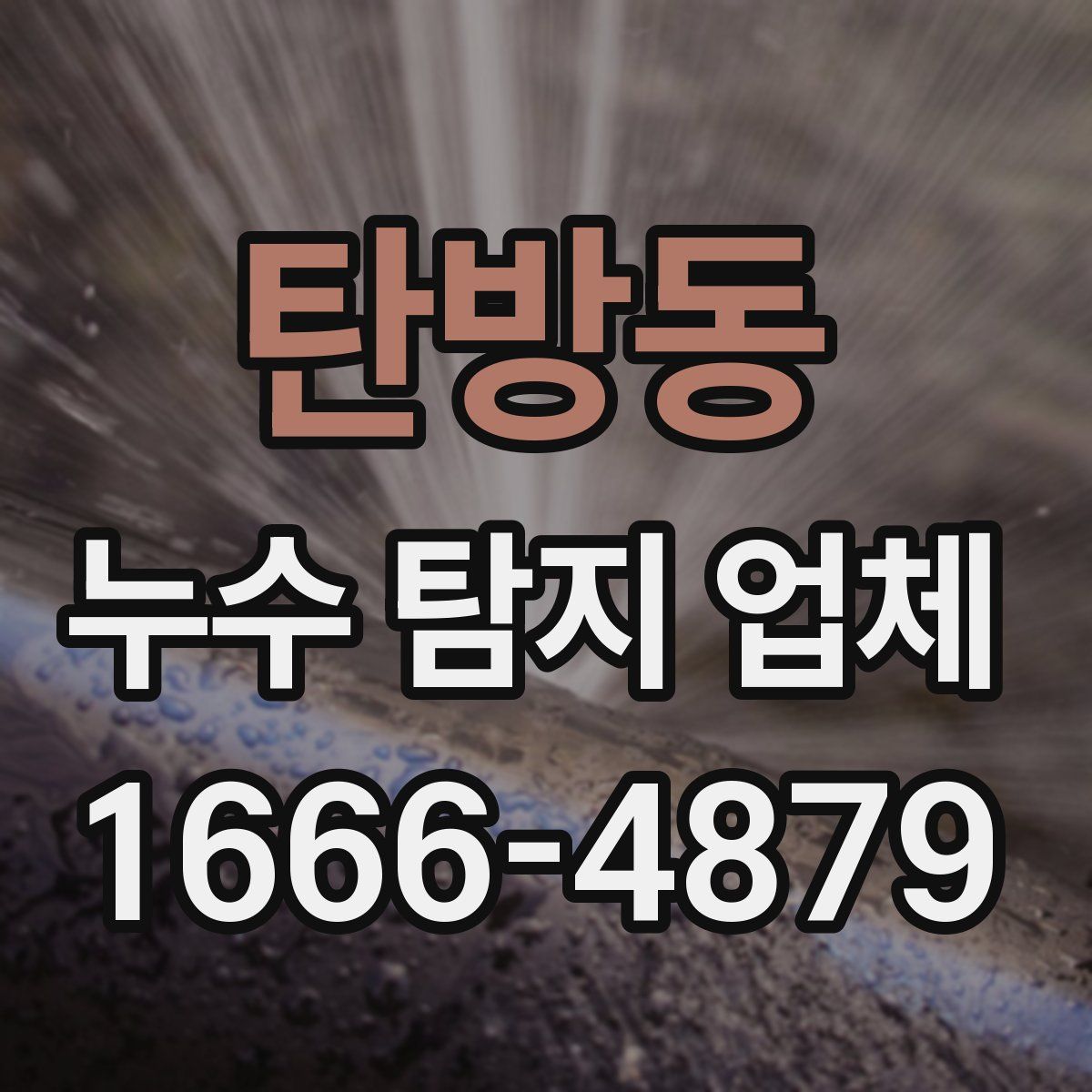 탄방동 누수 탐지 업체