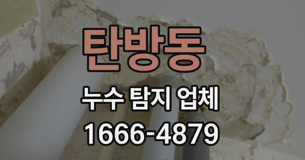 탄방동 누수 탐지 업체