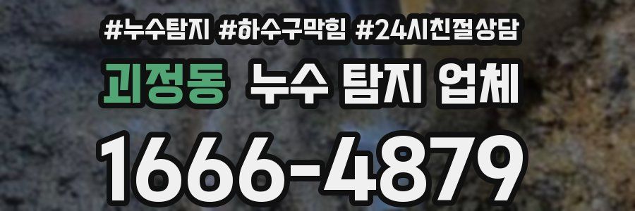 괴정동 누수 탐지 업체