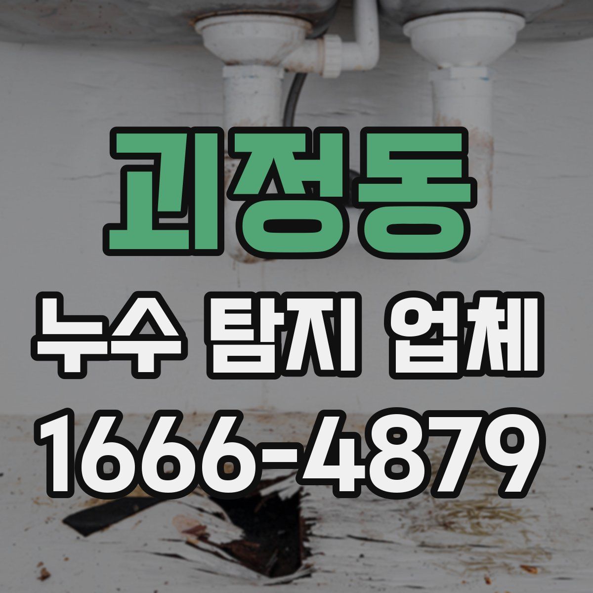 괴정동 누수 탐지 업체