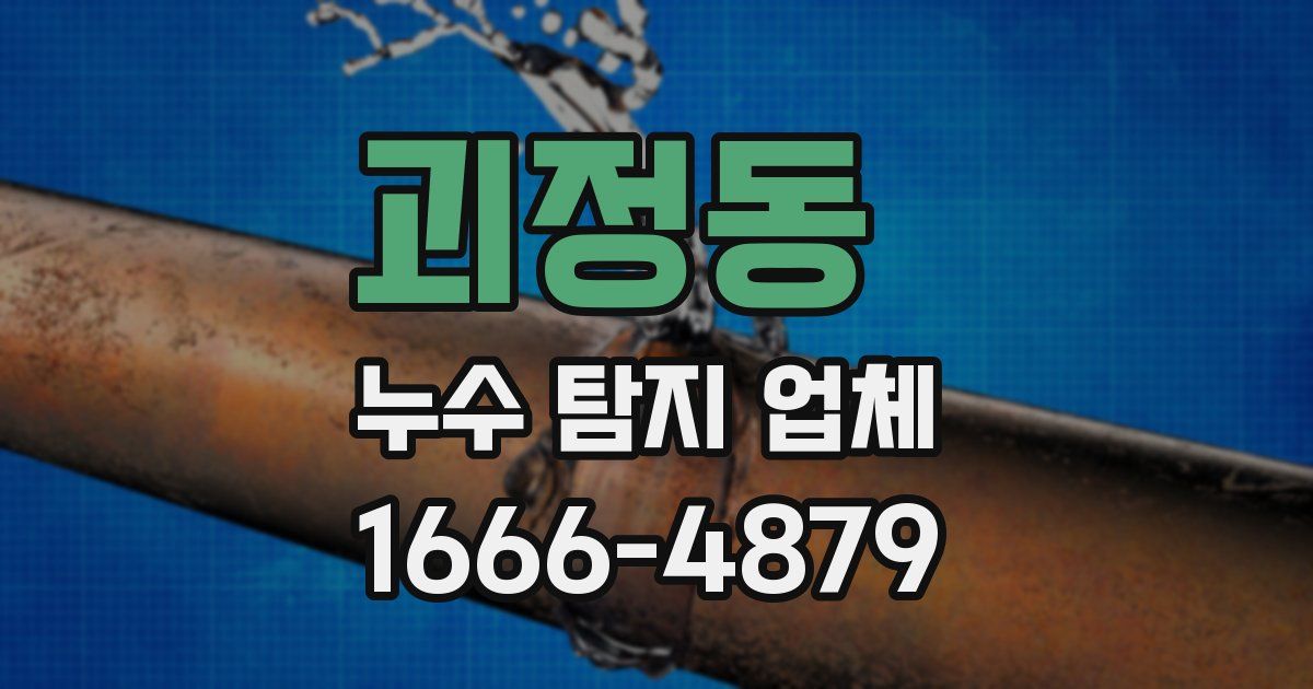 괴정동 누수 탐지 업체