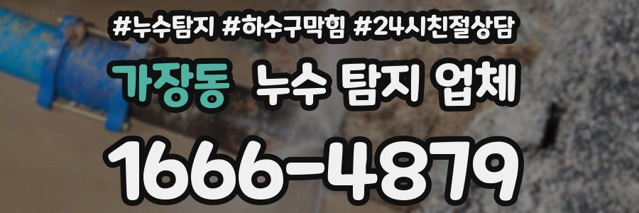 가장동 누수 탐지 업체