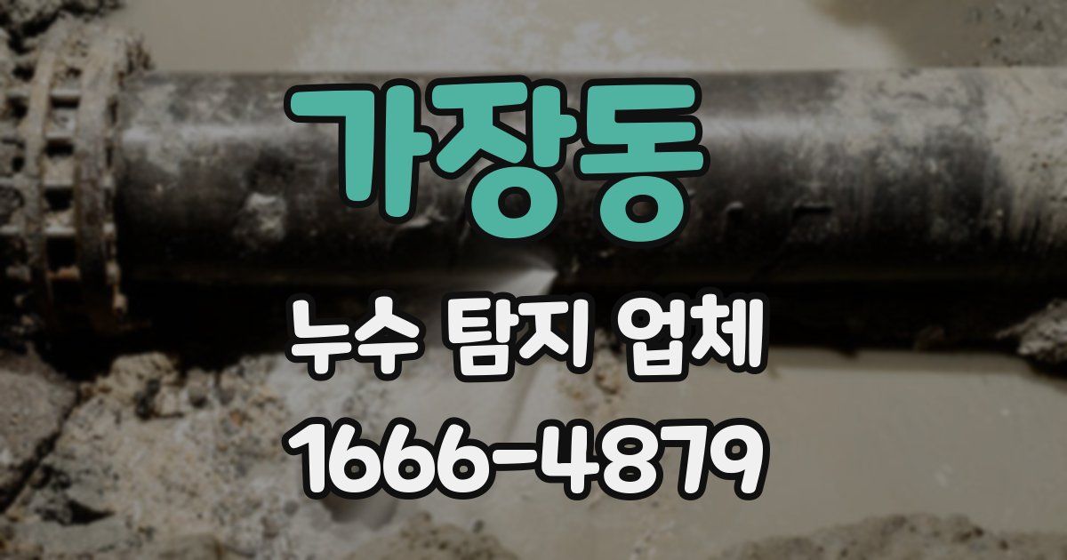 가장동 누수 탐지 업체