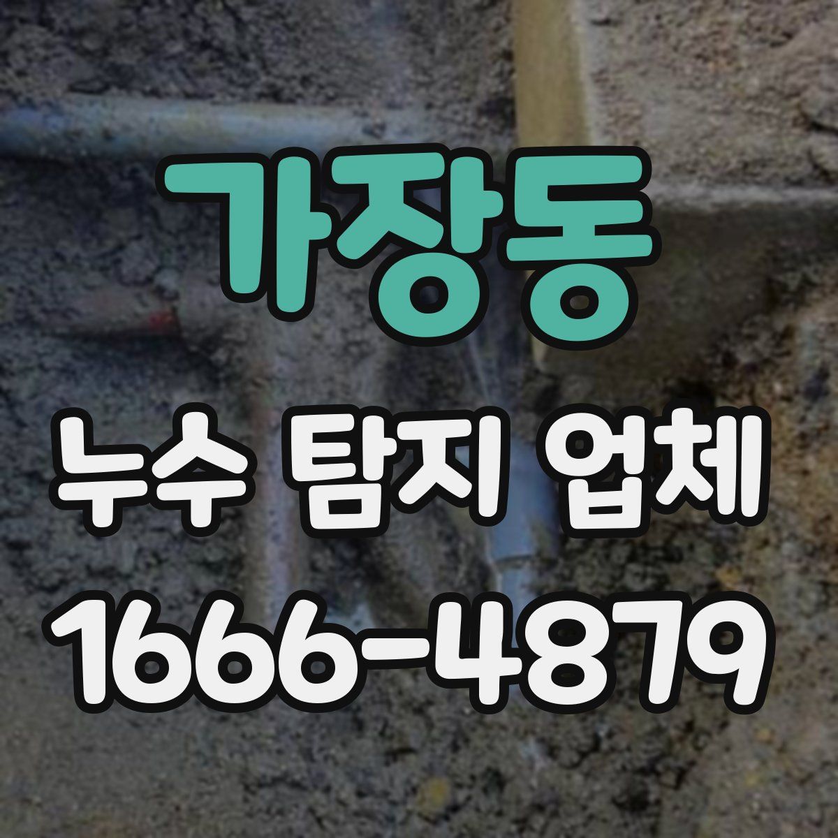 가장동 누수 탐지 업체