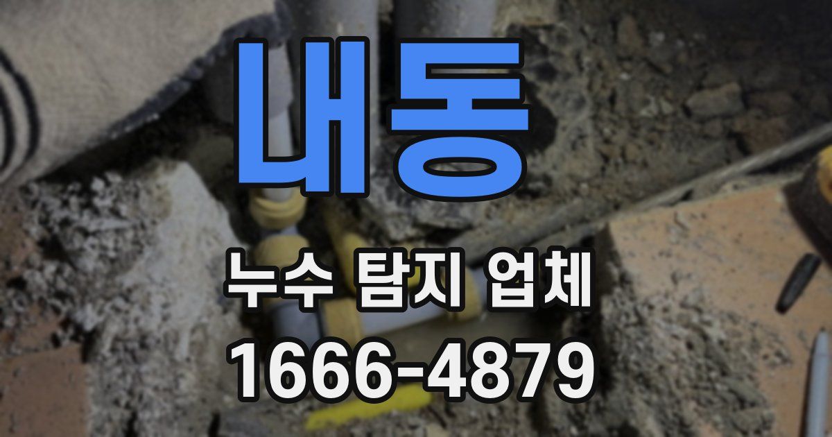 내동 누수 탐지 업체