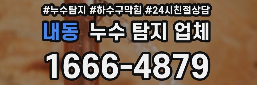 내동 누수 탐지 업체