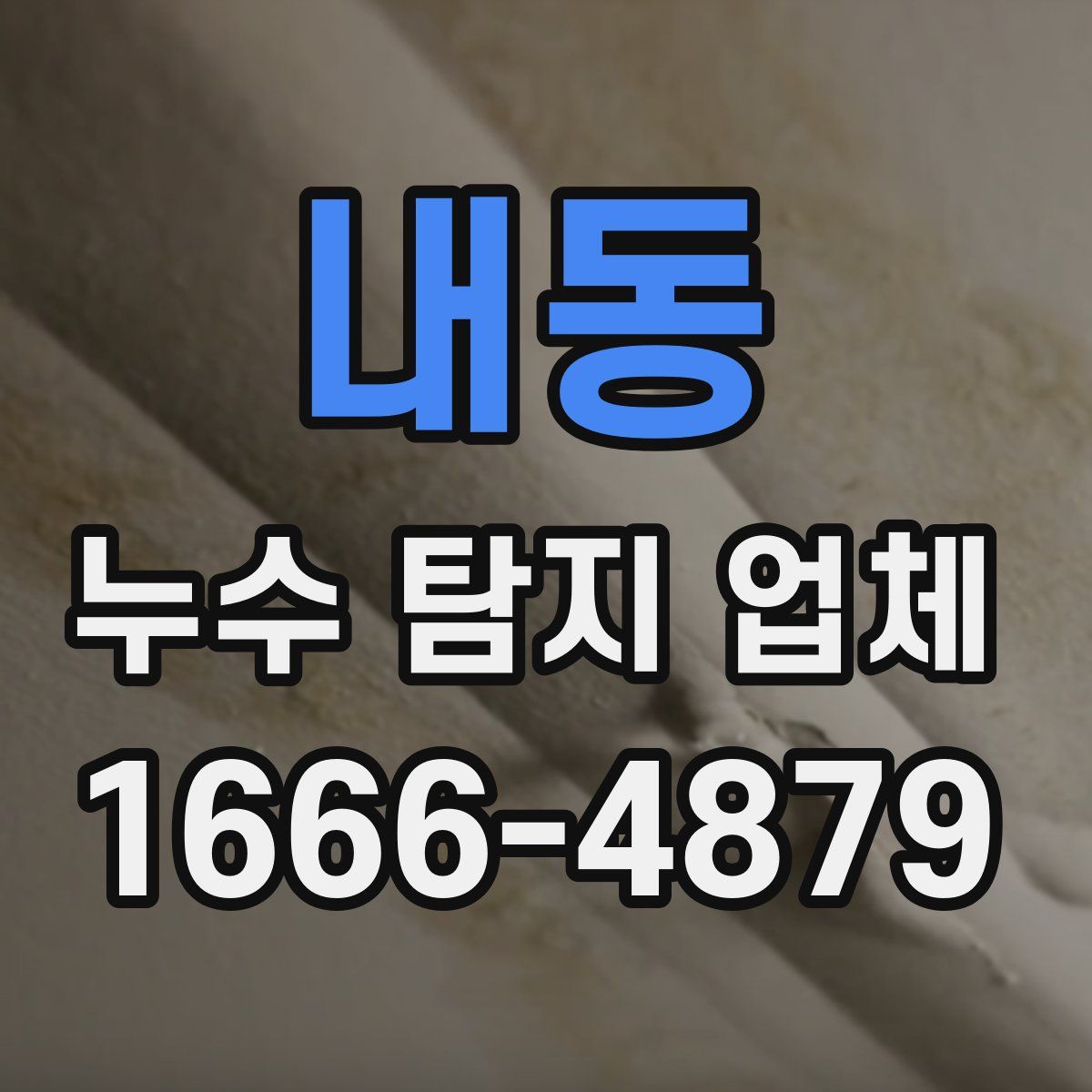 내동 누수 탐지 업체