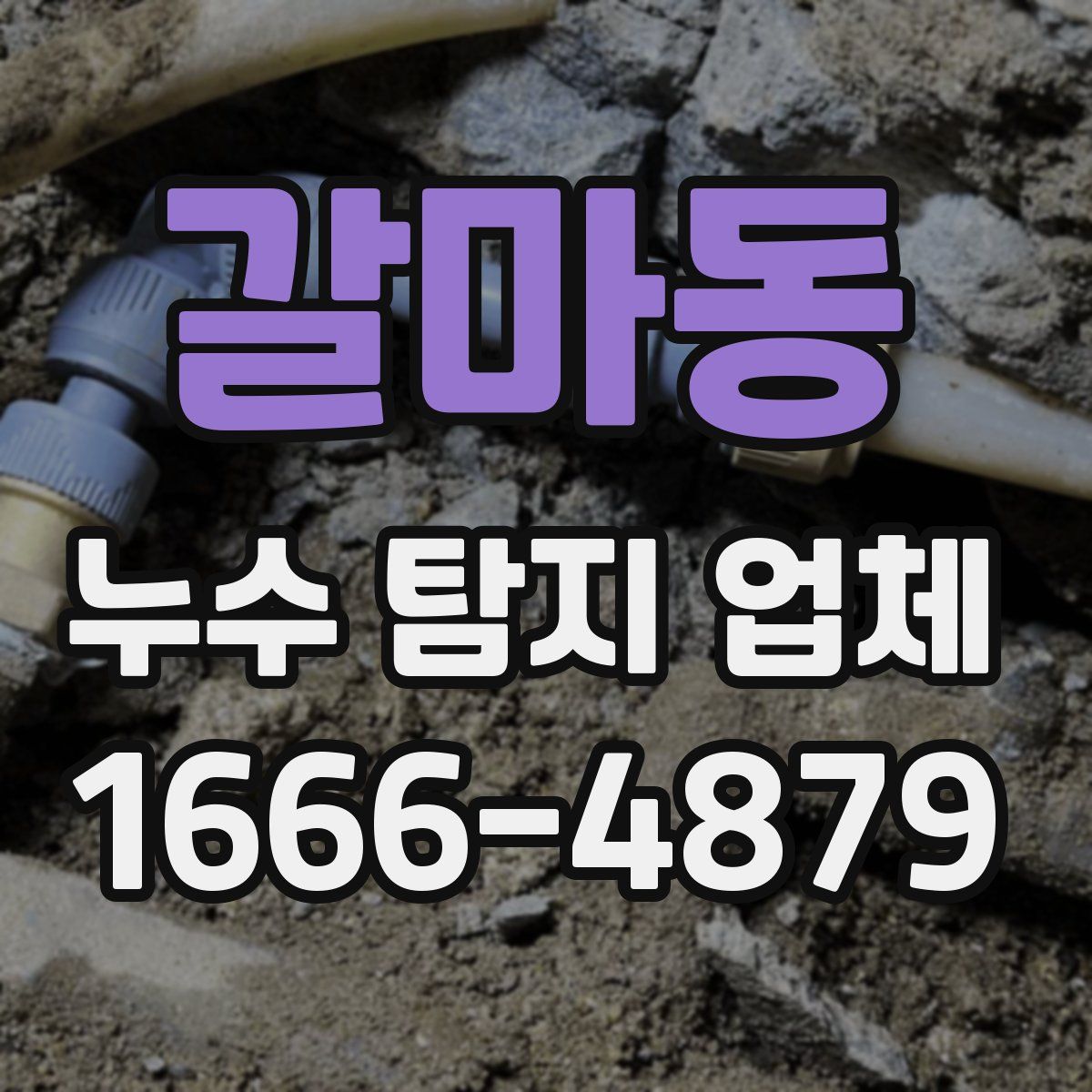 갈마동 누수 탐지 업체