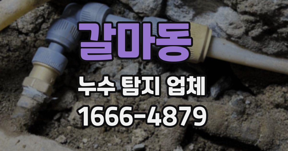 갈마동 누수 탐지 업체
