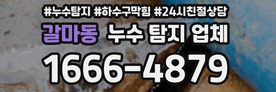 갈마동 누수 탐지 업체