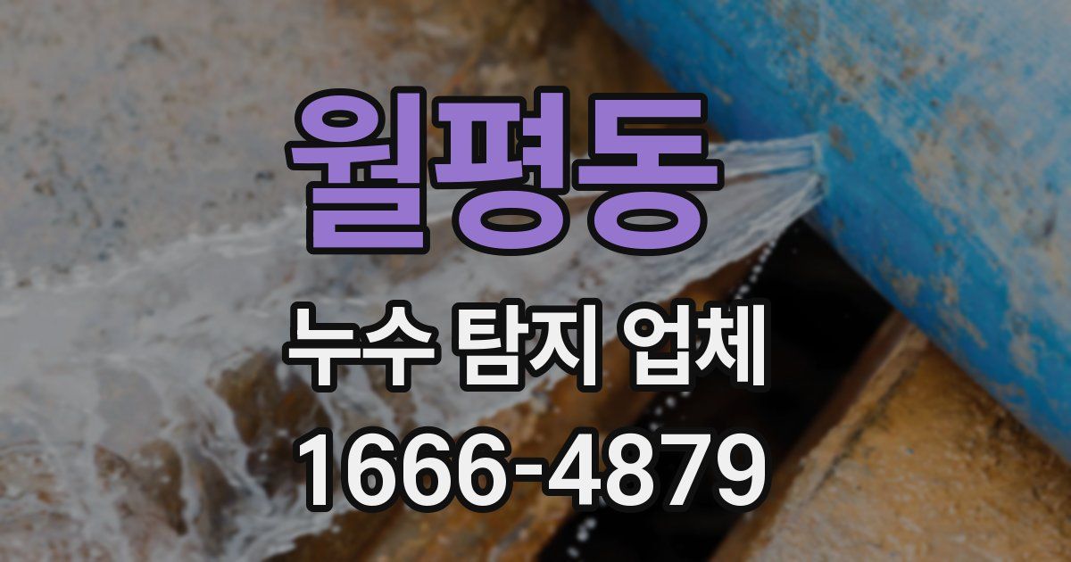 월평동 누수 탐지 업체