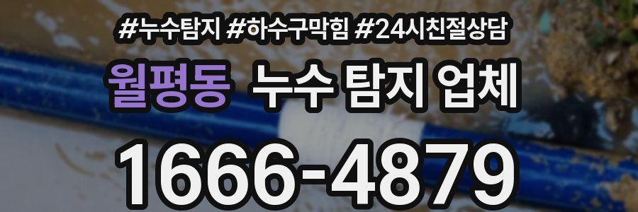 월평동 누수 탐지 업체