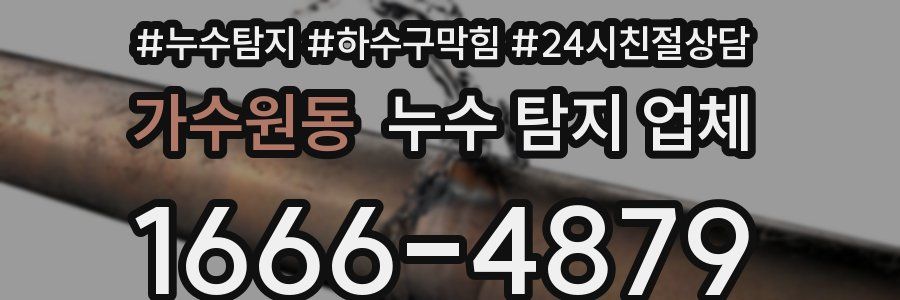 가수원동 누수 탐지 업체