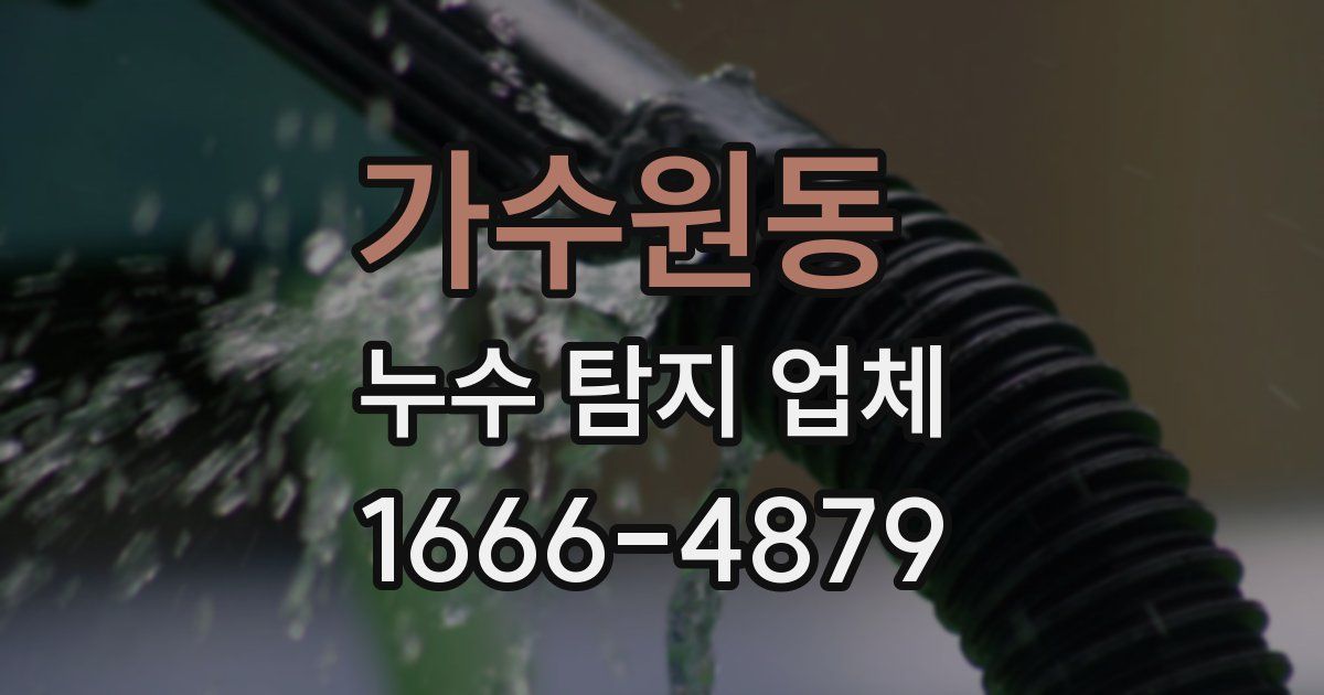가수원동 누수 탐지 업체