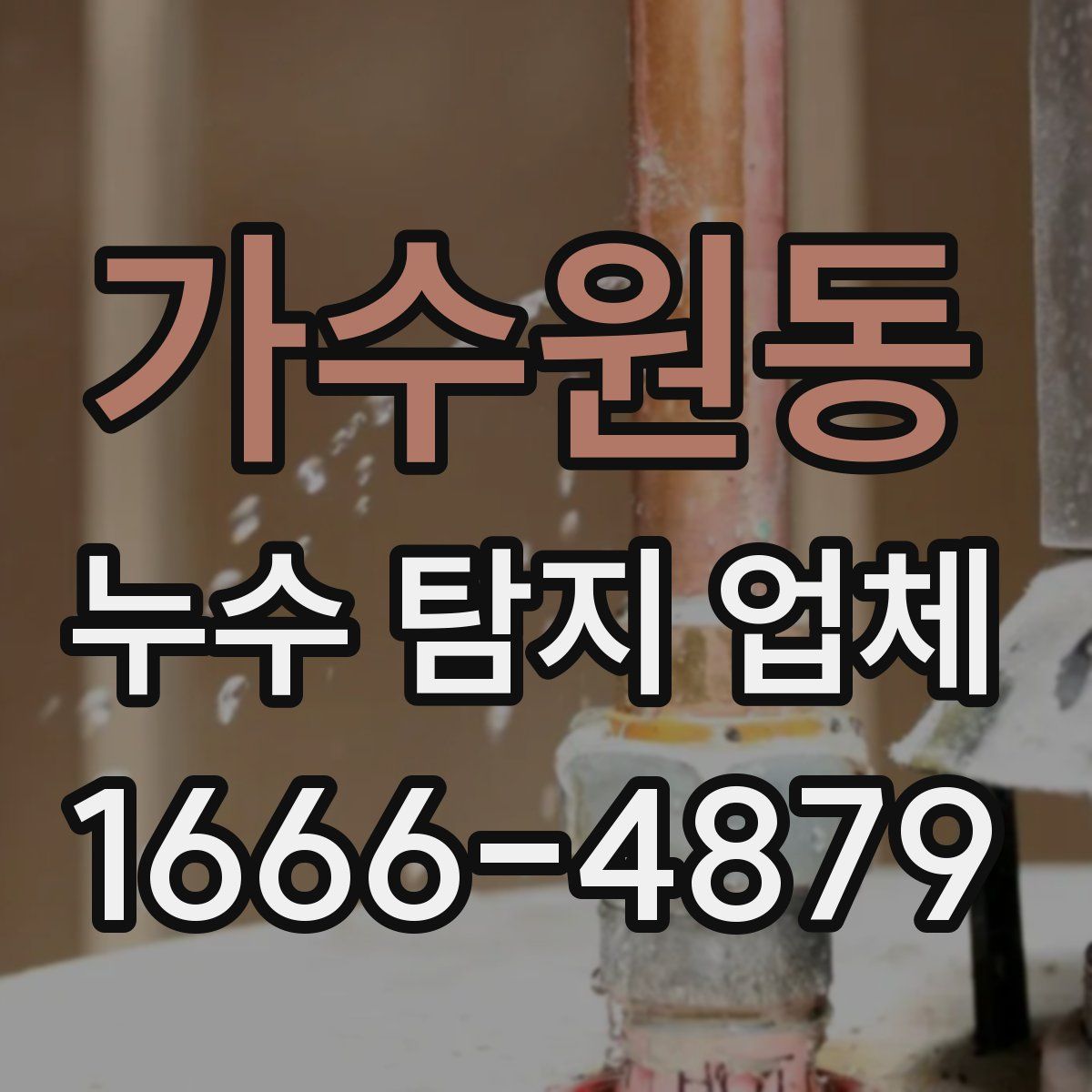 가수원동 누수 탐지 업체