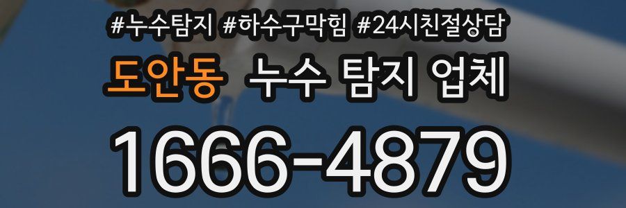 도안동 누수 탐지 업체