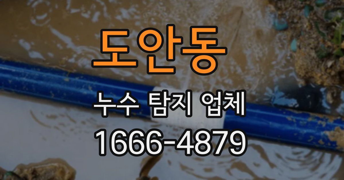 도안동 누수 탐지 업체