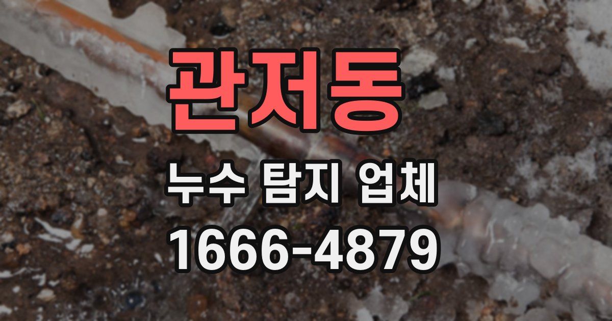 관저동 누수 탐지 업체