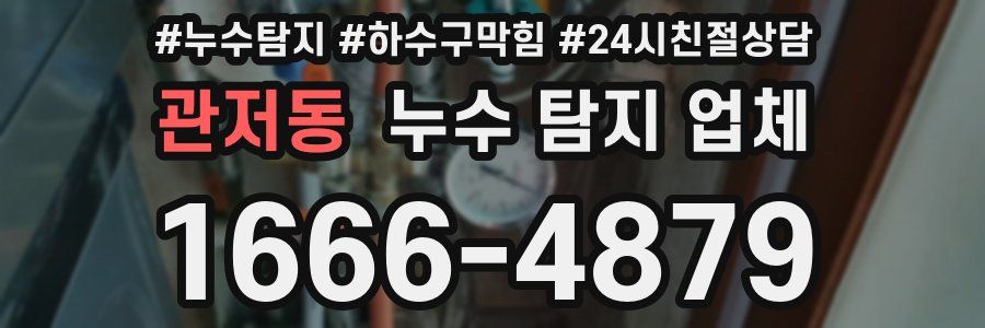 관저동 누수 탐지 업체