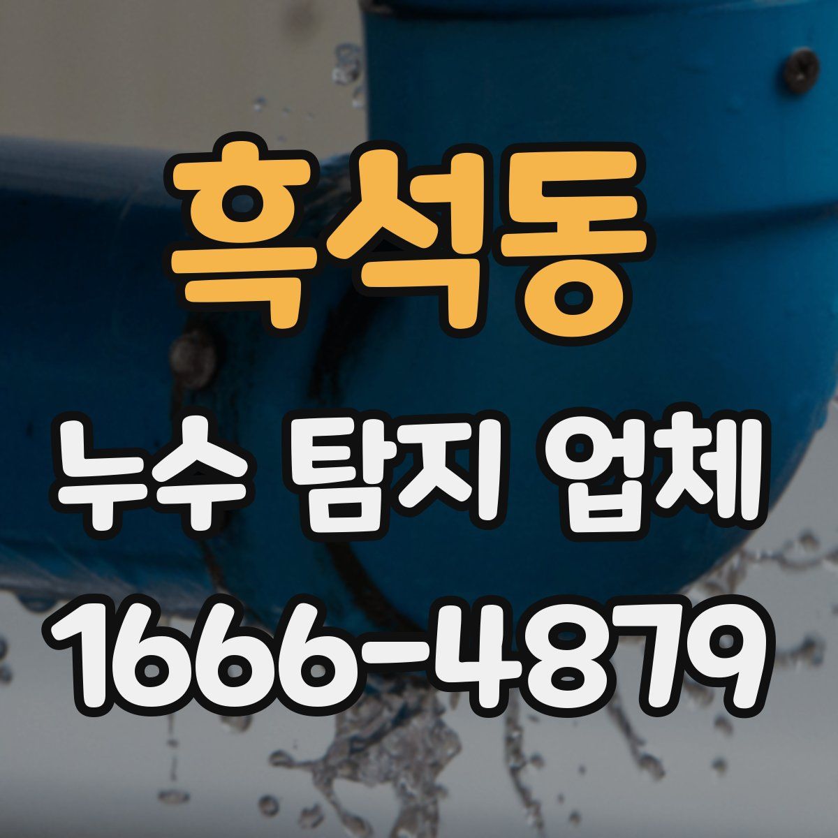 흑석동 누수 탐지 업체