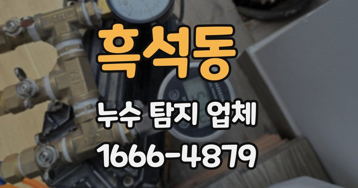 흑석동 누수 탐지 업체