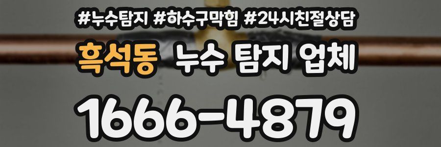 흑석동 누수 탐지 업체