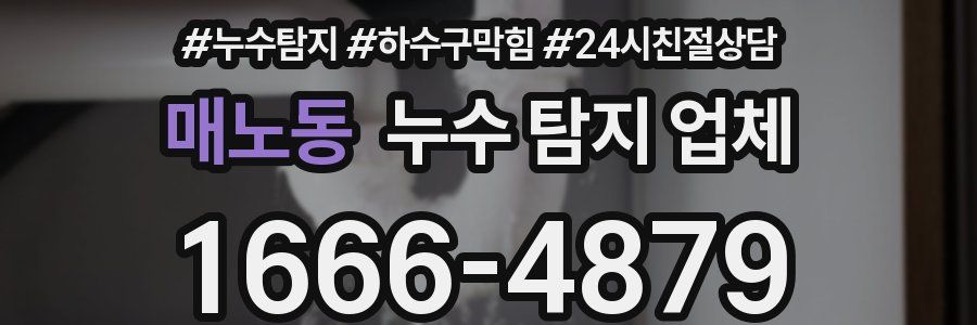 매노동 누수 탐지 업체