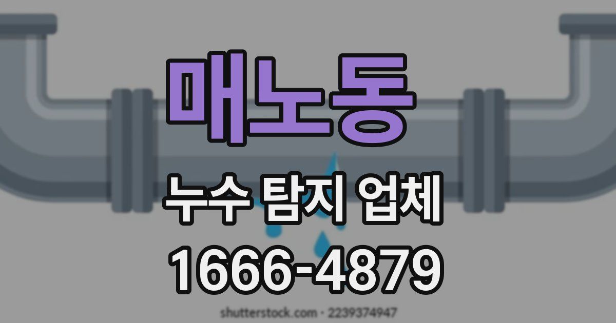 매노동 누수 탐지 업체