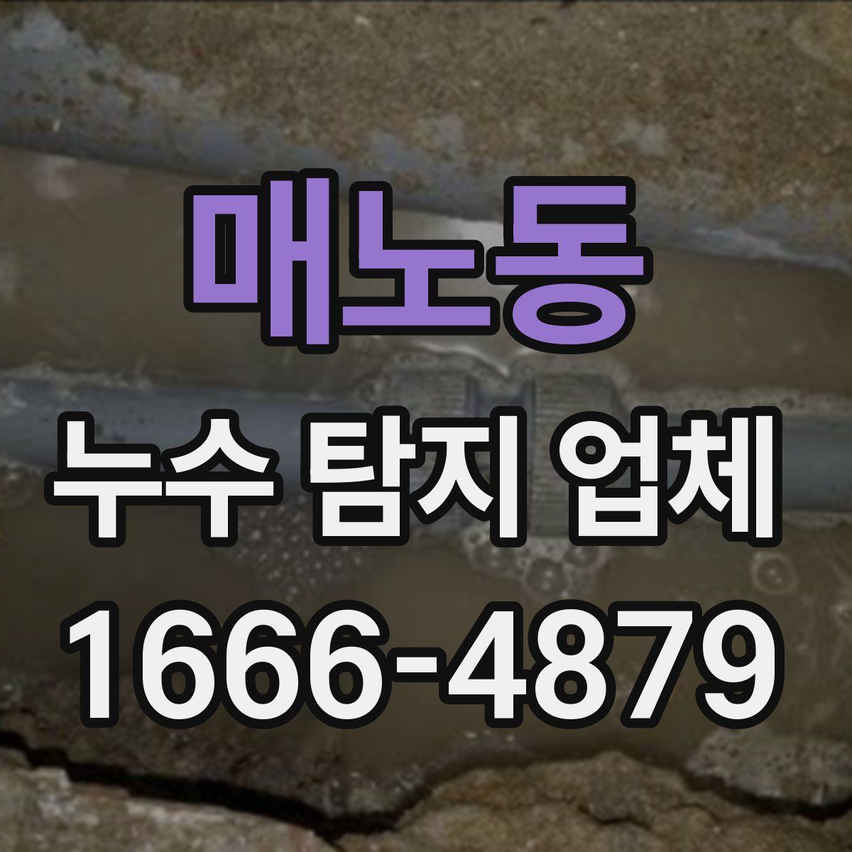매노동 누수 탐지 업체
