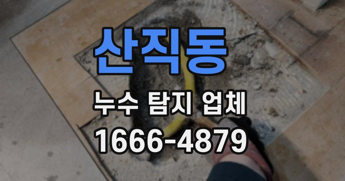 산직동 누수 탐지 업체