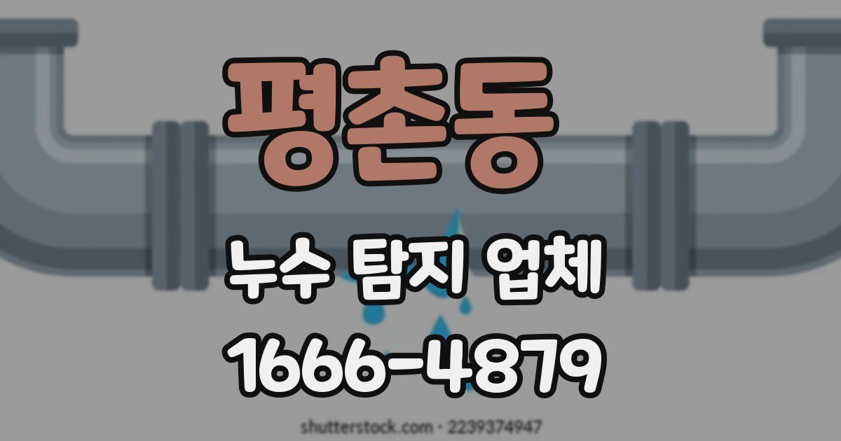 평촌동 누수 탐지 업체