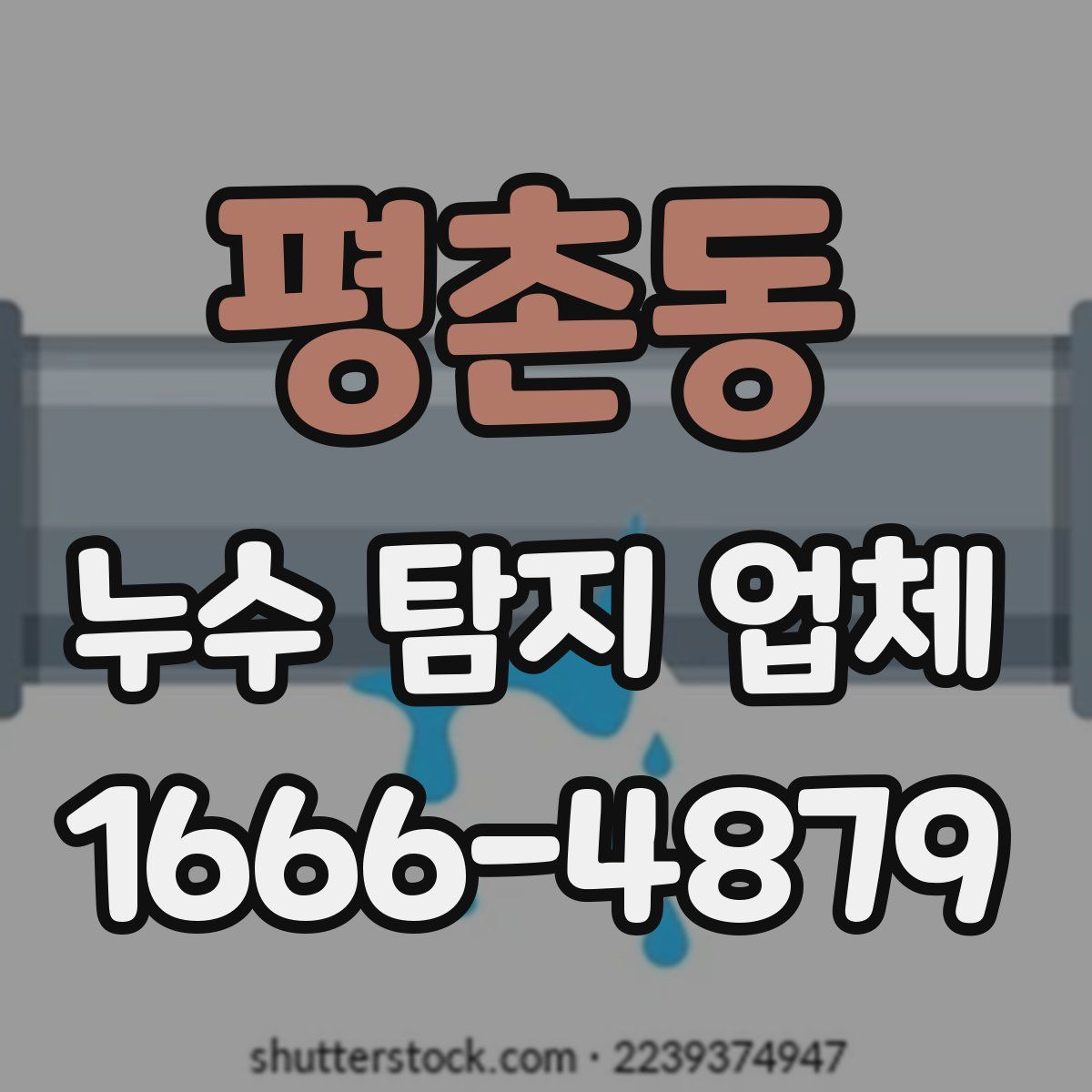 평촌동 누수 탐지 업체