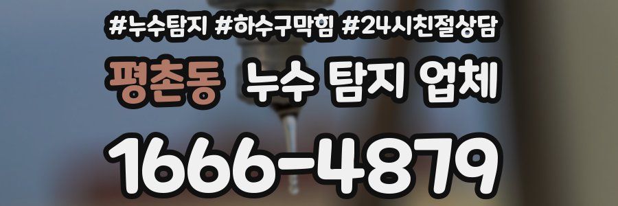 평촌동 누수 탐지 업체