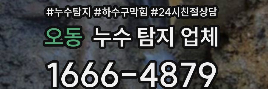 오동 누수 탐지 업체