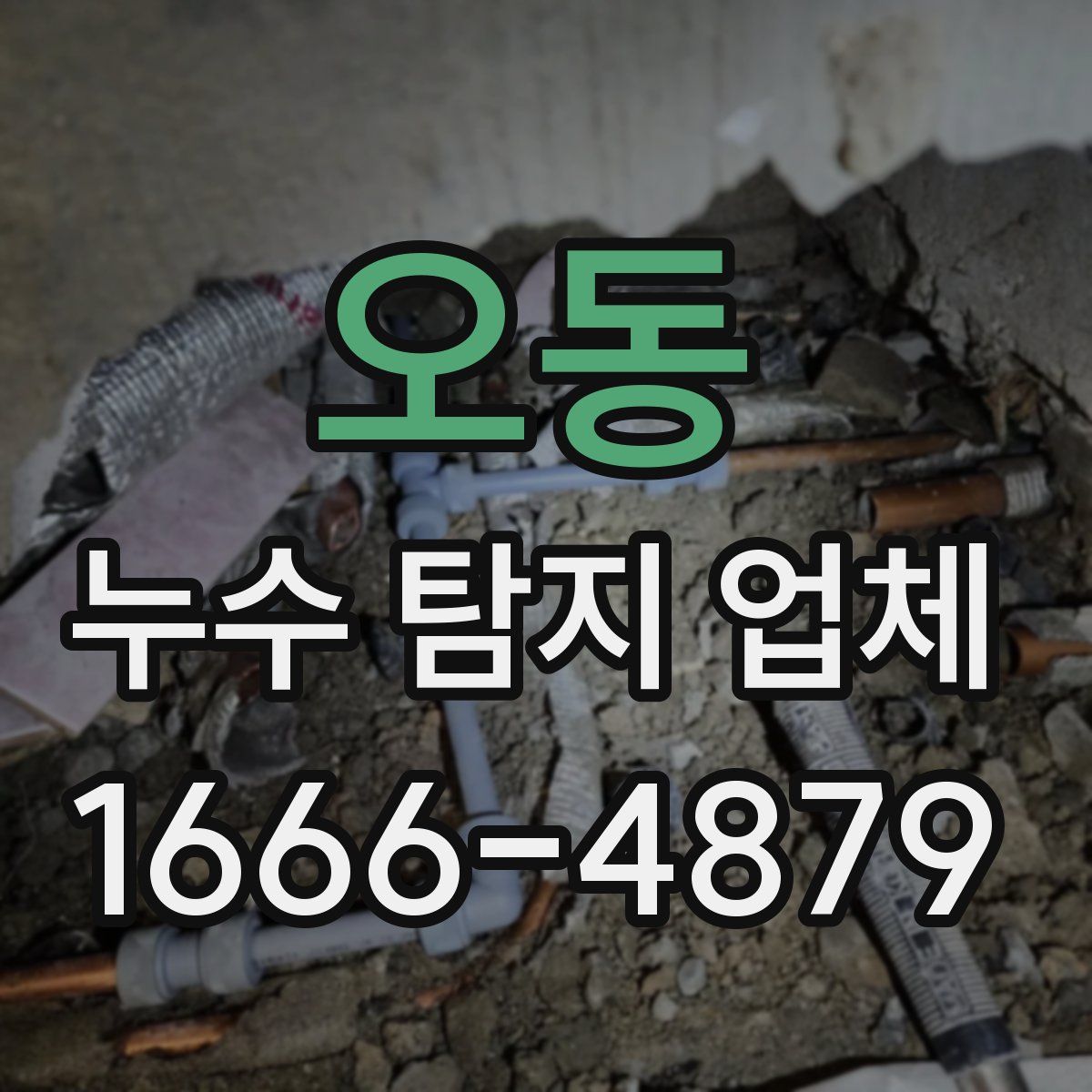 오동 누수 탐지 업체