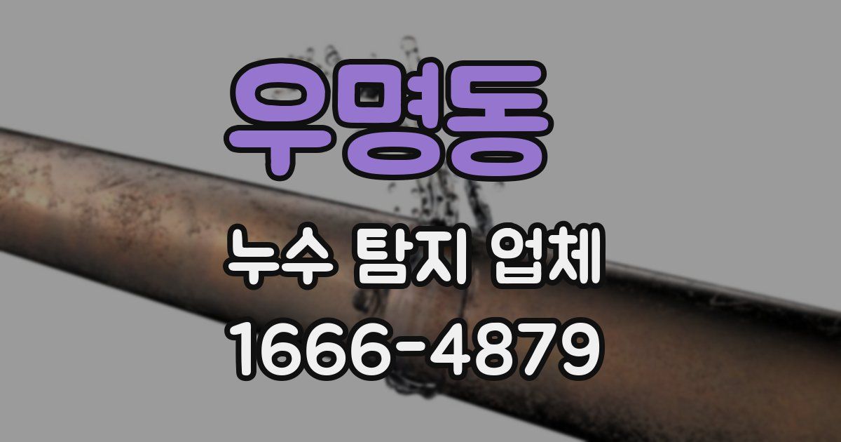 우명동 누수 탐지 업체