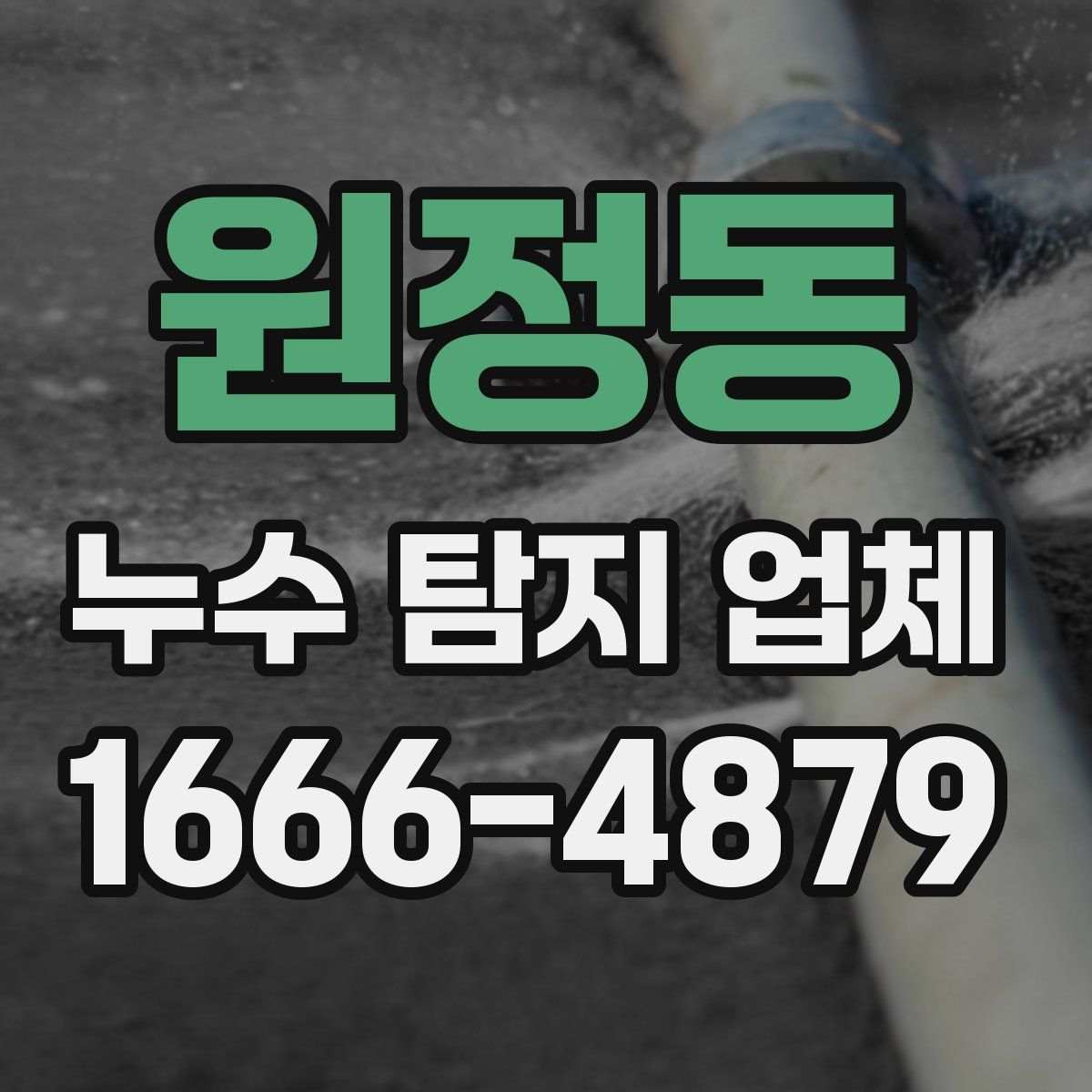 원정동 누수 탐지 업체