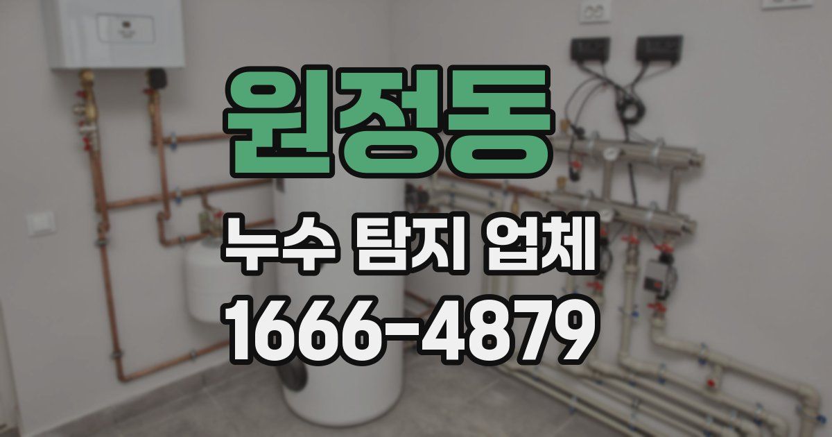 원정동 누수 탐지 업체