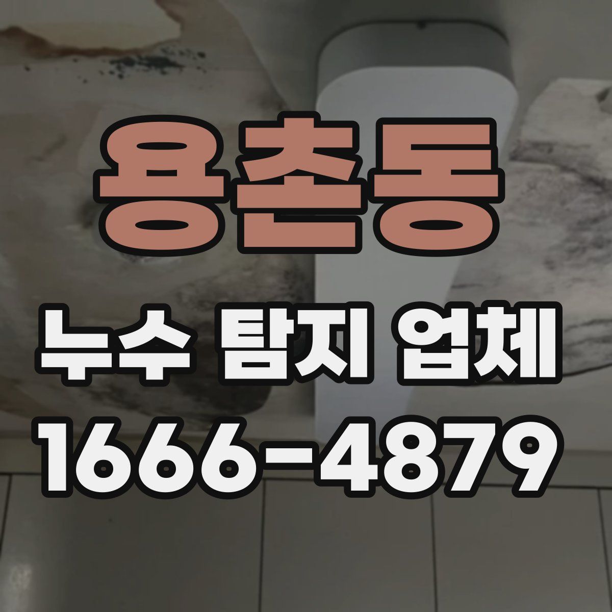용촌동 누수 탐지 업체