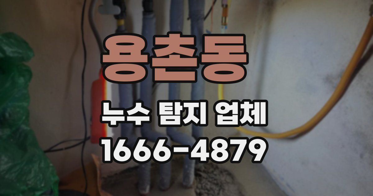 용촌동 누수 탐지 업체