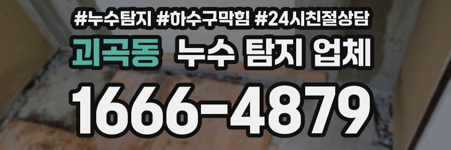 괴곡동 누수 탐지 업체